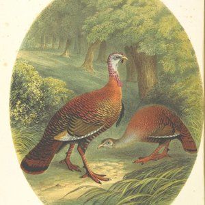 Meet your Posher, Gabrielle